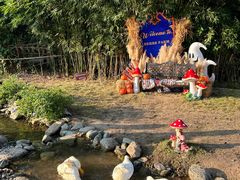 -HERRE·FARM 赫尔露营农场·团建聚会包场