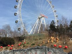 -大连森林动物园