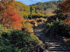 -四明山国家森林公园