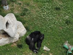 -西霞口神雕山野生动物世界