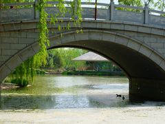 -西安浐灞国家湿地公园