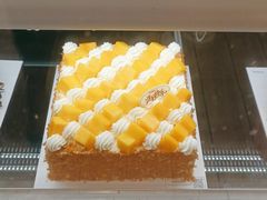 -TOUCH泰奇(奉贤宝龙城市广场店)