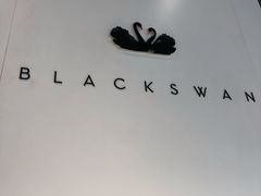 -BLACKSWAN黑天鹅(环球店)