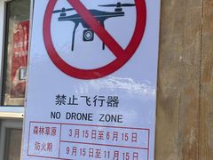 -五营红松林海景区