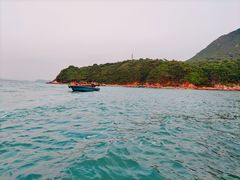 -杨梅坑