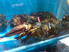 -港畔赶海蒸汽海鲜烧烤自助(仙螺岛店)