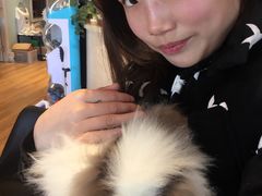 -藦茜花园宠物主题亲子互动体验馆(国顺东路店)