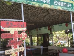 -天下先生态园农庄CS团建露营地(海鸥岛店)