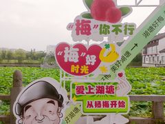 -鲁镇