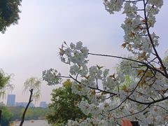 -黄兴公园