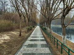 -大望京公园