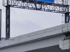-清平中药材专业市场