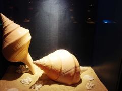 -亚龙湾中心广场·贝壳馆