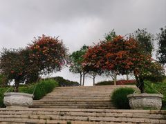 -东莞植物园