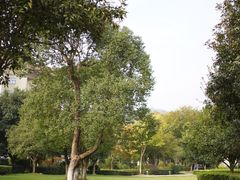 -宜春明月山维景国际温泉度假酒店