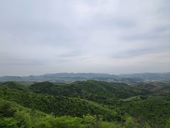 -示范集贸市场