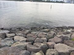 -台场海滨公园船码头