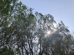 -长白岛森林公园