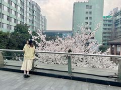 -杭州市第一人民医院(湖滨院区)