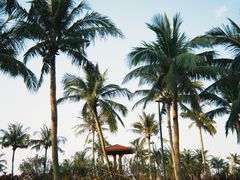 -白沙门生态公园