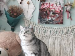 -平行世界·猫咖(首经贸店)