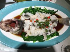 鲜花椒炝鲈鱼-天和晟烤鸭店(玉泉西街店)