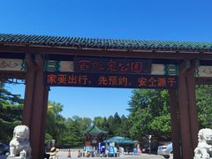 -百脉泉景区