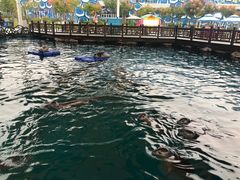 -华夏文旅海洋公园