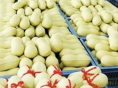 -果仁张(食品街店)