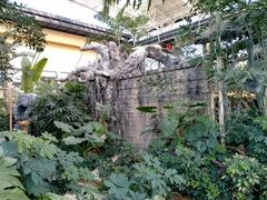 -郑州银基黄帝宫御温泉