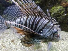 -大连老虎滩海洋公园