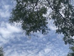 -什刹海