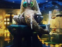 -成都泰迪熊博物馆