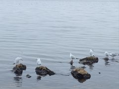 -捞渔河湿地公园