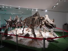 -南通洲际绿博园