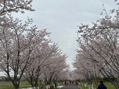 -长田漾湿地公园