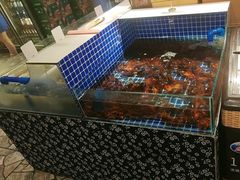 -破瓦寒窑·地摊烤羊排