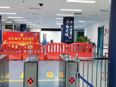 -奥体中心游泳馆