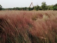 -艾溪湖湿地公园