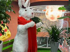 -Dragon Pizza•圆脸龙披萨·牛排餐厅