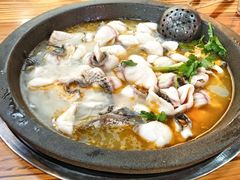 -大鼎石锅鱼(春江里店)
