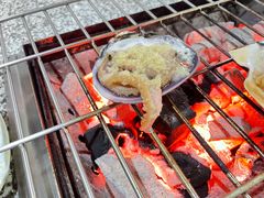 -震海贝烤贝·民俗特色店(延吉总店)
