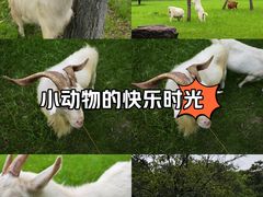 -杭州师范大学(下沙校区)