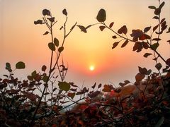 -北京西山国家森林公园