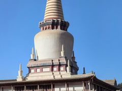 -张掖大佛寺景区