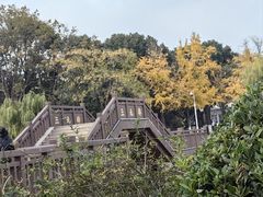 -东湖景区