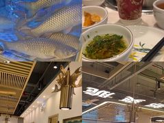 -粤顺渔坊·中山脆肉鲩火锅(清湖店)
