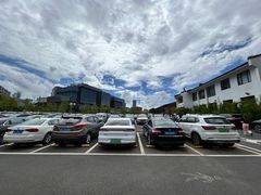 -龙华素斋(龙华路店)