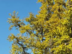 -苏州河梦清园环保主题公园