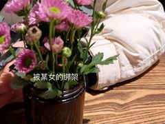 -Apollo·西班牙小酒馆(安福路店)
